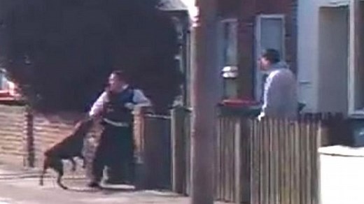 Pit bull owner guilty over police attack