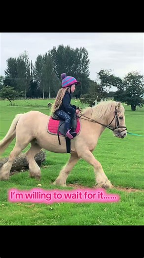 Children Riding Horses: Equestrian Fun and Joy