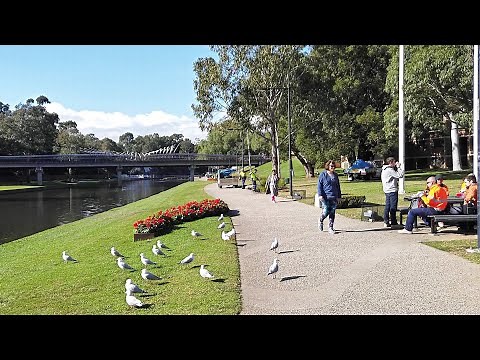 Relaxing Walk Along Parramatta River From Lennox Bridge To Ferry Wharf, Parramatta, Sydney Australia