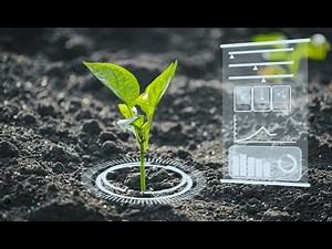 Applications of AI in Agriculture!!!