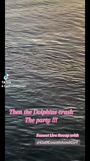 1.9K views · 19 reactions | Florida Dreams ✌☀️ #GulfCoastIslandGirl | Elizabeth Conner | Facebook
