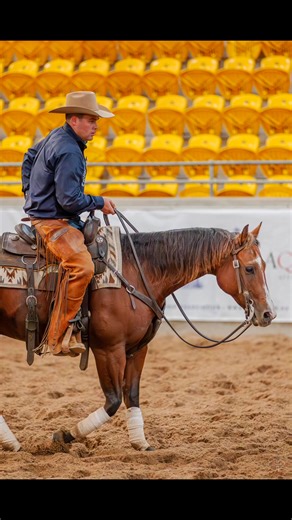 💫 𝐇𝐀𝐏𝐏𝐘 𝐍𝐄𝐖 𝐘𝐄𝐀𝐑 💫 𝟐𝟎𝟐𝟓 you’ve been a blast! We are firm believer’s here at LVCH that there is no “i” in team, so we 𝑻𝑯𝑨𝑵𝑲 every single person who has played a role in our program and day to day grind. From our Full time staff, Show help, Clients, Veterinary support, Farrier, Equine Dentist, Sponsors, Cattle Suppliers and Our Family, you all assist in bringing our dreams to reality. 𝟐𝟎𝟐𝟔, 𝒘𝒆 𝒂𝒓𝒆 𝒓𝒆𝒂𝒅𝒚! | Lincoln Veraart Cutting Horses