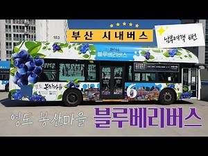 [부산버스] 영도에 「블루베리버스」가 떴다!!
