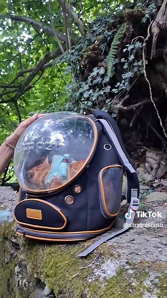 Amo portare il mio gatto Russulì a fare un'escursione con me! 🌿🐾 ​Oggi siamo al fiume per una bella passeggiata nella natura. Per spostarci comodi e sicuri uso il suo zainetto trasparente “spaziale”, così lui può godersi tutto il paesaggio lungo il cammino. Appena troviamo il posto ideale, mi fermo, metto lo zaino al sicuro su un muretto, gli sistemo la pettorina con il guinzaglio e lo lascio uscire a esplorare l'ambiente intorno! 🐱✨ ​#Russulì ​#IlMioGatto ​#GattoAvventuroso ​#GattoRosso ​#Tr