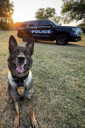 Advandced K9 Tactics