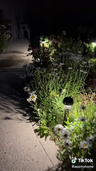 Enhance Your Outdoor Space with Ring Solar Pathlights