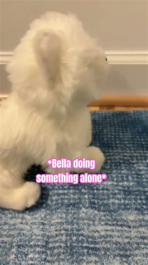 Bella singing but Spark is waiting as well