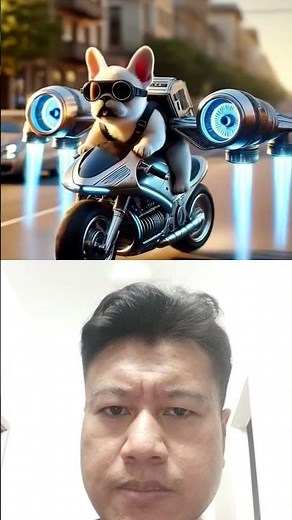 This Flying Frenchie Just Shocked the Entire Street!