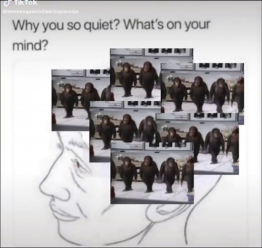 Funny Monkey Memes Compilation