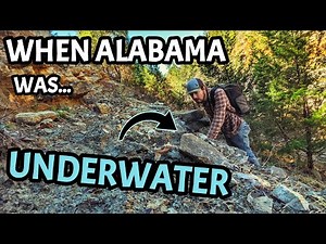 Alabama's Ancient Oceans Were WILD! We Discovered BIZARRE Primitive Shark Fossils & MORE!