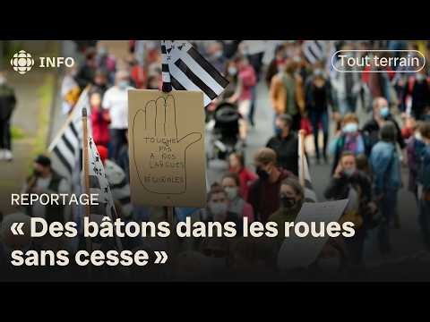 Brittany and the Basque Country: the fight to save regional languages ​​in France | All terrain