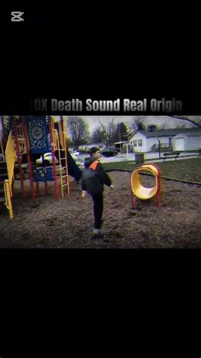 Roblox (Death Sound Origin)