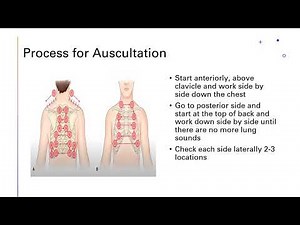Thorax and Lung Assessment Part 5 VIDEO 12 mins
