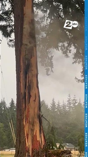 Lightning hits a tree in Hockinson, Washington, smoke and flames pour from the Douglas fir