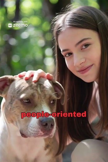 Pitbull vs Boxer 🐶 | Muscle Power vs Athletic Energy