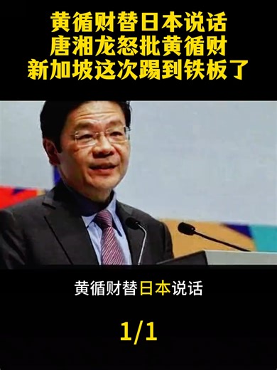 黄循财遭批评：新加坡与历史的错位