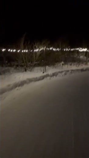 Scarry night in the forest