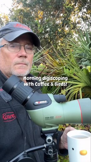 Most mornings I start each day with coffee & birds in my backyard and typically try to digiscope 10 bird species before my coffee’s gone! Full disclosure, if the birds are good the coffee often gets cold, I’m easily distracted by birds & wildlife! ;) Yesterday though, 10 came quick and I finished my morning with 30 birds tallied. Here’s my first 10 #kowascoping birds of the morning plus one more captured through the “Baby scope”, the compact Kowa #PROMINAR TSN-55A with iPhone & Phone Skope adapt