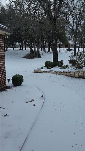 Texas Ice Storm Part II, Granbury, TX 1/25/2026 #texasweather #ice #snow