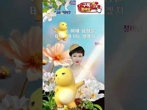 청해님🎤 전화노래방 홍랑 도련님 가장 듣기 좋은 BEST 노래 2곡 연속듣기 #트로트 #윤지노래방