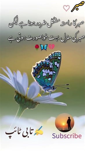 sad ringtone #urdupoetry #unfrezzmyaccount #sadpoetry #islamicstoriesinurduandhindi #birds #poetry