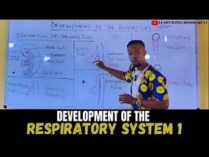 DEVELOPMENT OF THE RESPIRATORY SYSTEM 1 || LUNG BUD EMBRYOLOGY