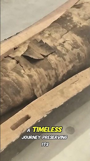 Secrets of a Mummy from the Heart of Ancient Egypt #ancientegypt #history