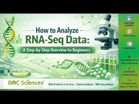 How to Analyze RNA-Seq Data: A Step-by-Step Beginner’s Guide - BOC Sciences