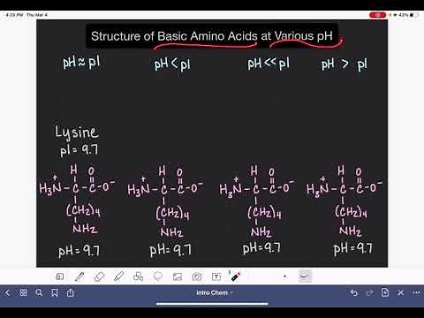 69: Structure of basic amino acids at various pH