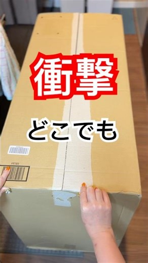 [Shocking] The "first words" of this dog from the future are too cute 🐶 #shorts #dog #toypoodle