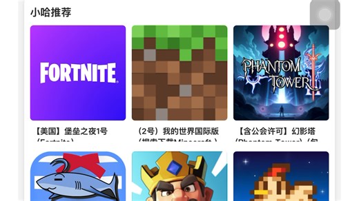 RFS下载教程只对苹果平板有用，苹果手机也有用