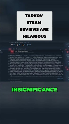 Tarkov Steam Reviews are Incredible