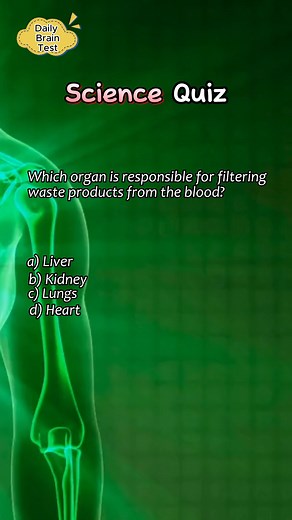 6.8K views · 219 reactions | Exercise your science knowledge by answering this short quiz. #science #educational #learning #schools #KnowledgeIsPower | Daily Brain Quiz | Facebook