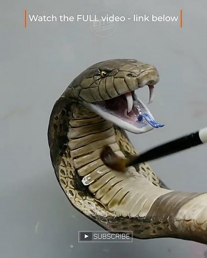 He charmed the WRONG SNAKE! King Cobra #art #sculpture #diorama #reptile #polymerclay #resin