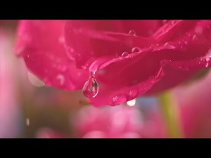 9 SOLFEGGIO FREQUENCIES | TUNING FORK SOUNDBATH | REIKI ENERGY