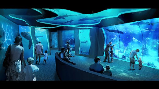 SeaWorld San Diego to launch all-new Shark Encounter in 2026