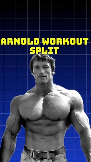 ARNOLD SCHWARZENEGGER'S WORKOUT SPLIT #bernardorebeil #arnold #arnoldschwarzenegger #workout #gym