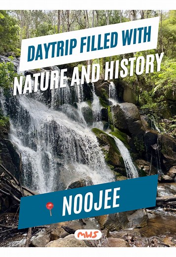 Explore Noojee: A Hidden Family Day Trip from Melbourne