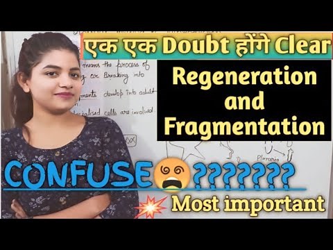 Fragmentation and Regeneration | Difference b/w fragmentation & regeneration | Spirogyra & planaria