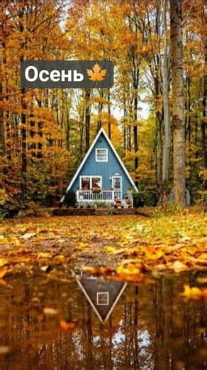 Поры года.#лето #summer #весна #spring #осень #autumn #зима #winter