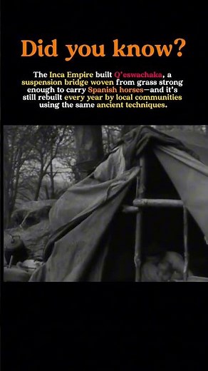 The Forgotten Holocaust: Europe’s Roma Genocide and the Justice Denied for Decades