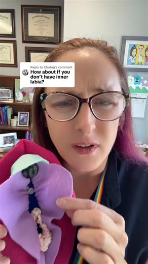 Dr. Holly Hoefgen MD on Instagram: "Can’t find your labia minora ?? No worries … it’s most likely a variation of normal. #labiaminora #labia #vulvaranatomy #pedsgyn #gyntok"