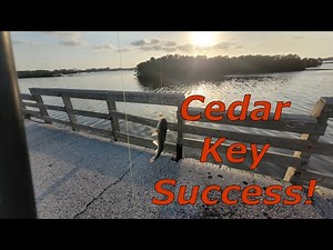 PIER FISHING In Cedar Key Florida! Success Off The Pier! 2025 Fishing