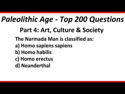 Ancient history: Prehistoric cultures in India - Paleolithic age
