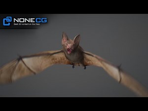 Bat 3D Model by NoneCG
