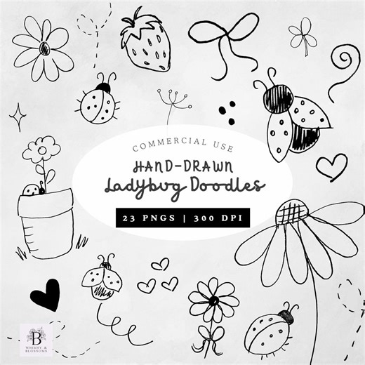 Hand Drawn Ladybug Doodle Clipart, 23 PNG Ladybug Clipart Bundle, Line Art Doodle Clipart, Spring Clipart Commercial Use, Not AI - Etsy