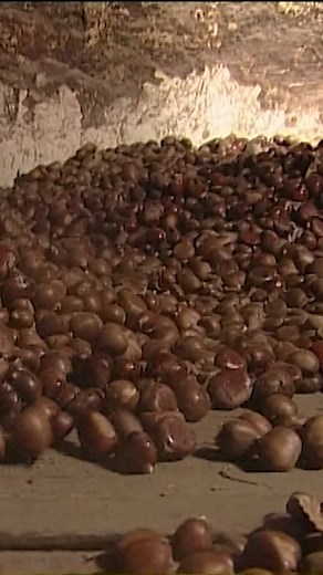 The process of drying and peeling chestnuts | Eugenio Monesma Documentaries