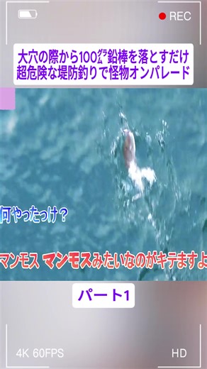 大穴の際から100㌘鉛棒を落とすだけ超危険な堤防釣りで怪物オンパレード #1 #ジュエリーちゃん #女性 #釣り #アウトドア #食べる #料理 #vlog #fishinggirl #foryoupage❤️❤️ #fyp