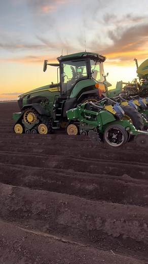 Dropping taps on cotton 23🔰🌱 🧦#boyswhocotton #8rx #exactemerge #cotton #planting #trotting #GameTok #trending