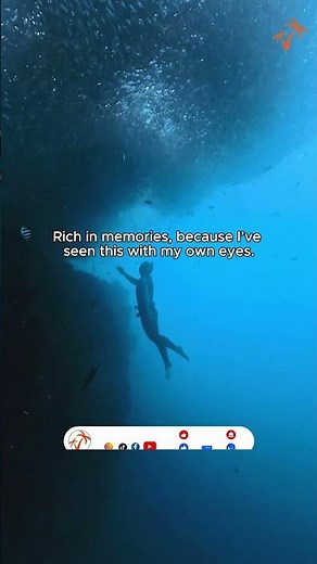 From Zero to Hero | In just 6 months, you can become a certified freediving instructor.